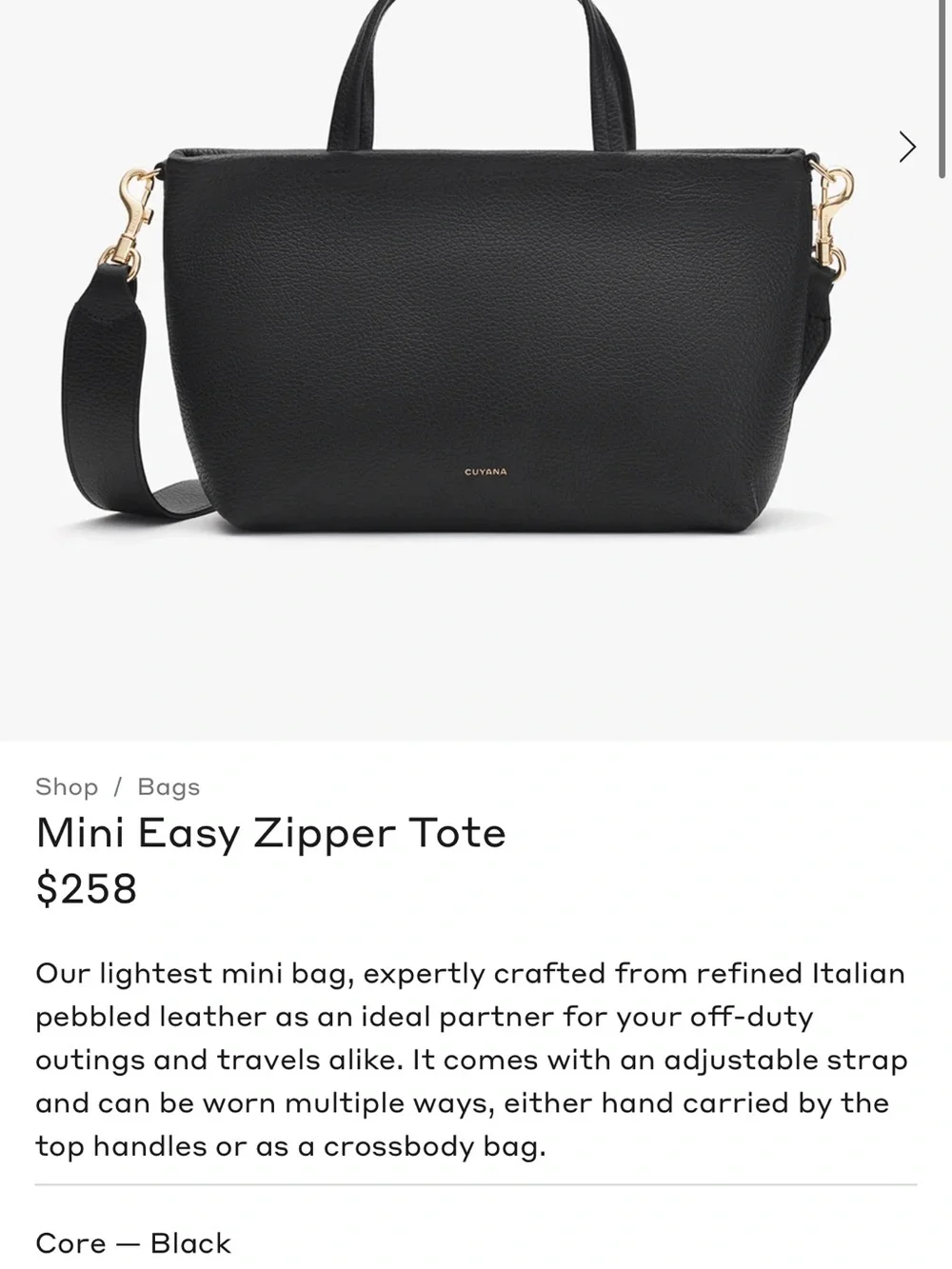 Cuyana Black Mini Easy Zipper Tote